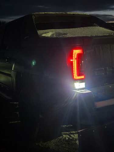 standard LED or halogen